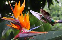 Botanical garden guided tour