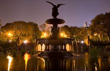 Central Park by night photo safari