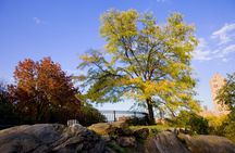 New York: three-day photography boot camp