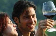 Brunello di Montalcino wine tour from San Gimignano