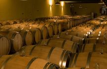 Classified Growths tour in Margaux