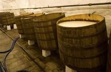 Nizbor glass factory and Pilsner Urquell brewery tour day trip