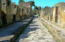 Herculaneum 2-hour private tour
