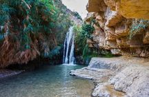 From Jerusalem: full-day guided tour of Masada, Ein Gedi, and the Dead Sea