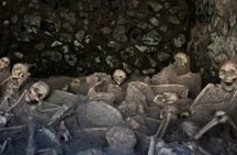 Herculaneum 2-hour private tour