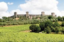 Chianti Winery Tour from Siena with Tasting and Food