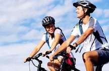 Chianti e-bike tour from San Gimignano with typical lunch and wine tasting