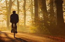 Chianti e-bike tour from San Gimignano with typical lunch and wine tasting