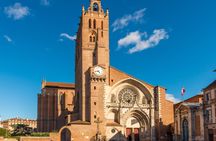 Citytour of Toulouse in panoramic minibus