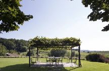 Winery tour and wine tasting at La Raia in Gavi in Piedmont