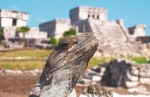 Tulum Discovery Tour from Cancun and Riviera Maya