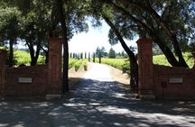 Sonoma and Napa Valley full-day wine tour from San Francisco