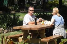 Sonoma and Napa Valley full-day wine tour from San Francisco