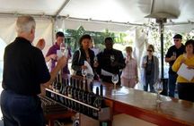 Sonoma and Napa Valley full-day wine tour from San Francisco