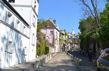 Montmartre 2-hour private walking tour
