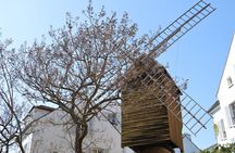 Montmartre 2-hour private walking tour