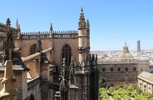 Cathedral of Seville and the Giralda tower guided tour