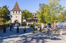 Rhine Falls half-day tour from Zurich
