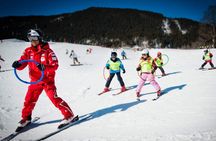 Swiss ski experience from Zurich