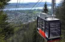 Zurich sunset tour with cheese fondue