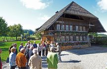 Bern tour from Zurich