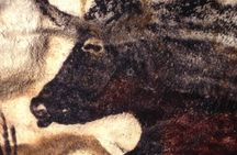 Private excursion to Lascaux Cave