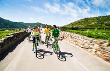 Wachau Winery Bike Tour