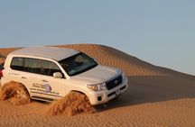 Desert safari and dinner from Abu Dhabi