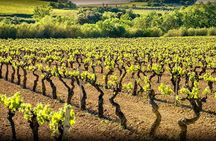 Montserrat and Penedès tour from Barcelona
