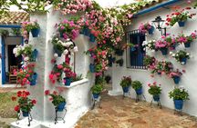 Patios of Cordoba guided tour