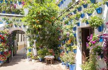 Patios of Cordoba guided tour