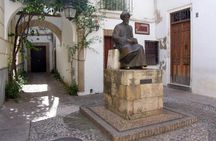 Cathedral-Mosque and Jewish Quarter of Córdoba guided tour