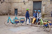 Barcelona Historical eBike tour
