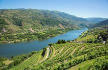 Douro Valley guided tour with wine tasting, lunch and river cruise from Porto