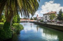 Tour of the Templar River with Tomar and Almourol castles