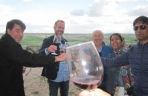 Wine experience with castles, medieval cities or cathedrals guided tour from Madrid