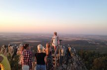 Ribera del Duero wine tour and tasting from Madrid