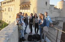Wine experience with castles, medieval cities or cathedrals guided tour from Madrid