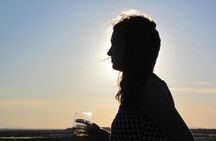 Windmills of Don Quixote wine tour from Madrid
