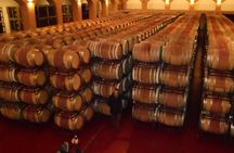 Windmills of Don Quixote wine tour from Madrid