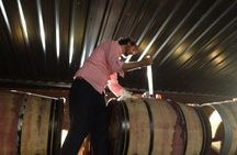 Windmills of Don Quixote wine tour from Madrid