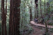 Muir Woods with Napa and Sonoma Wine Country tour