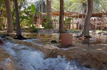 Abu Dhabi city tour with lunch from Dubai