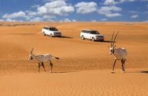 Desert adventure sports from Dubai