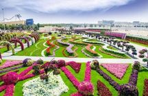 Dubai Miracle Garden and Global Village shopping tour