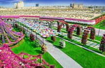 Dubai Miracle Garden and Global Village shopping tour