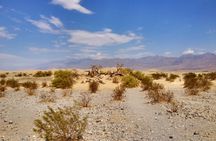 Wild West ghost town explorer day tour from Las Vegas