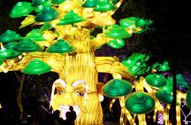 Dubai Garden Glow admission tickets and transfer