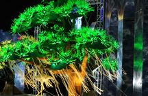 Dubai Garden Glow admission tickets and transfer