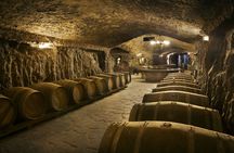 Wine cellar visit and tasting with lunch included  in La Rioja